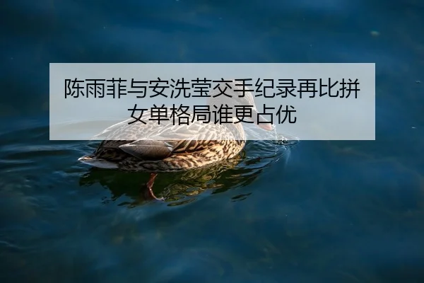 陈雨菲与安洗莹交手纪录再比拼 女单格局谁更占优